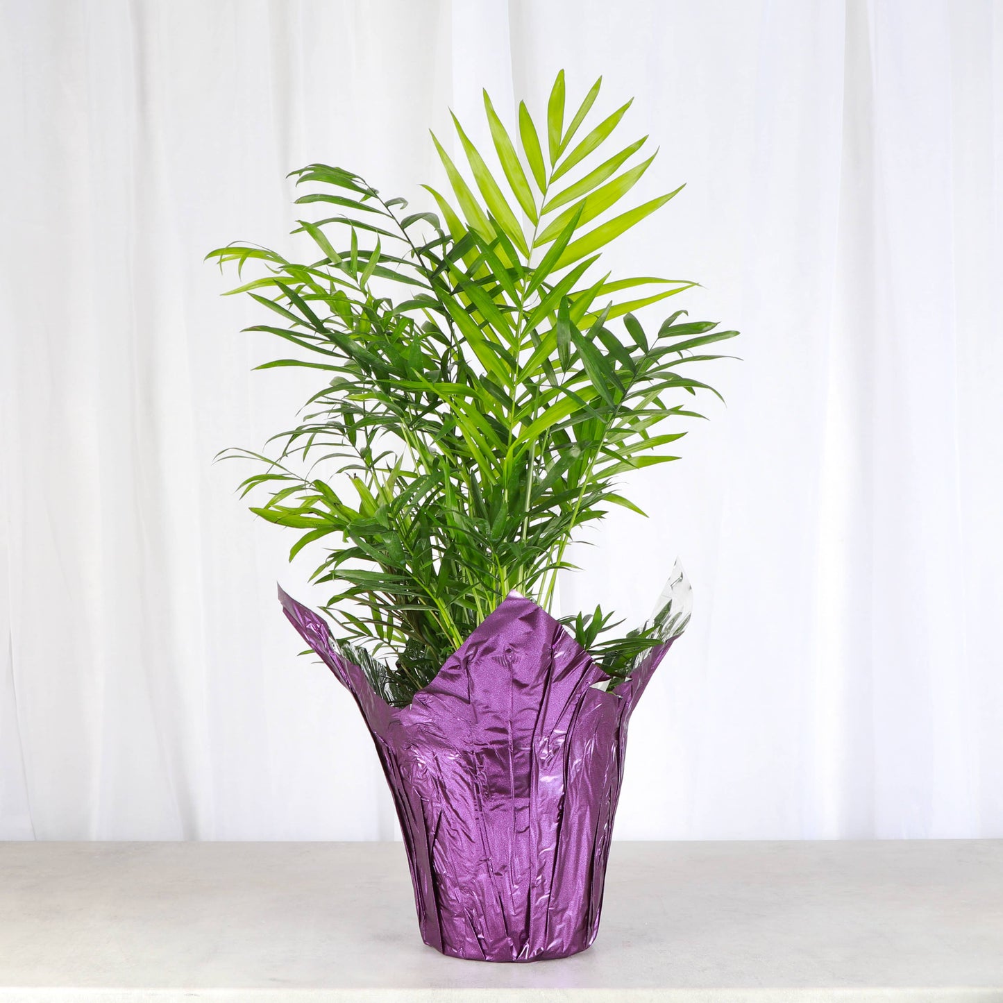6" Decorative Foil Pot Cover for Plants