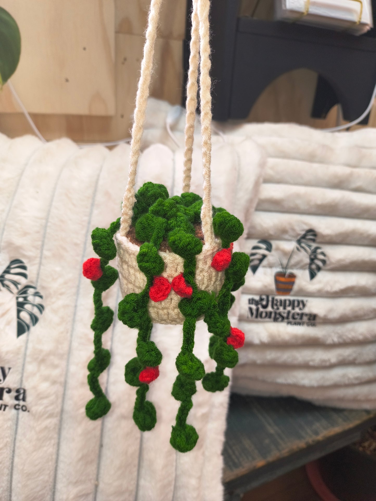 Crochet Hanging Plants
