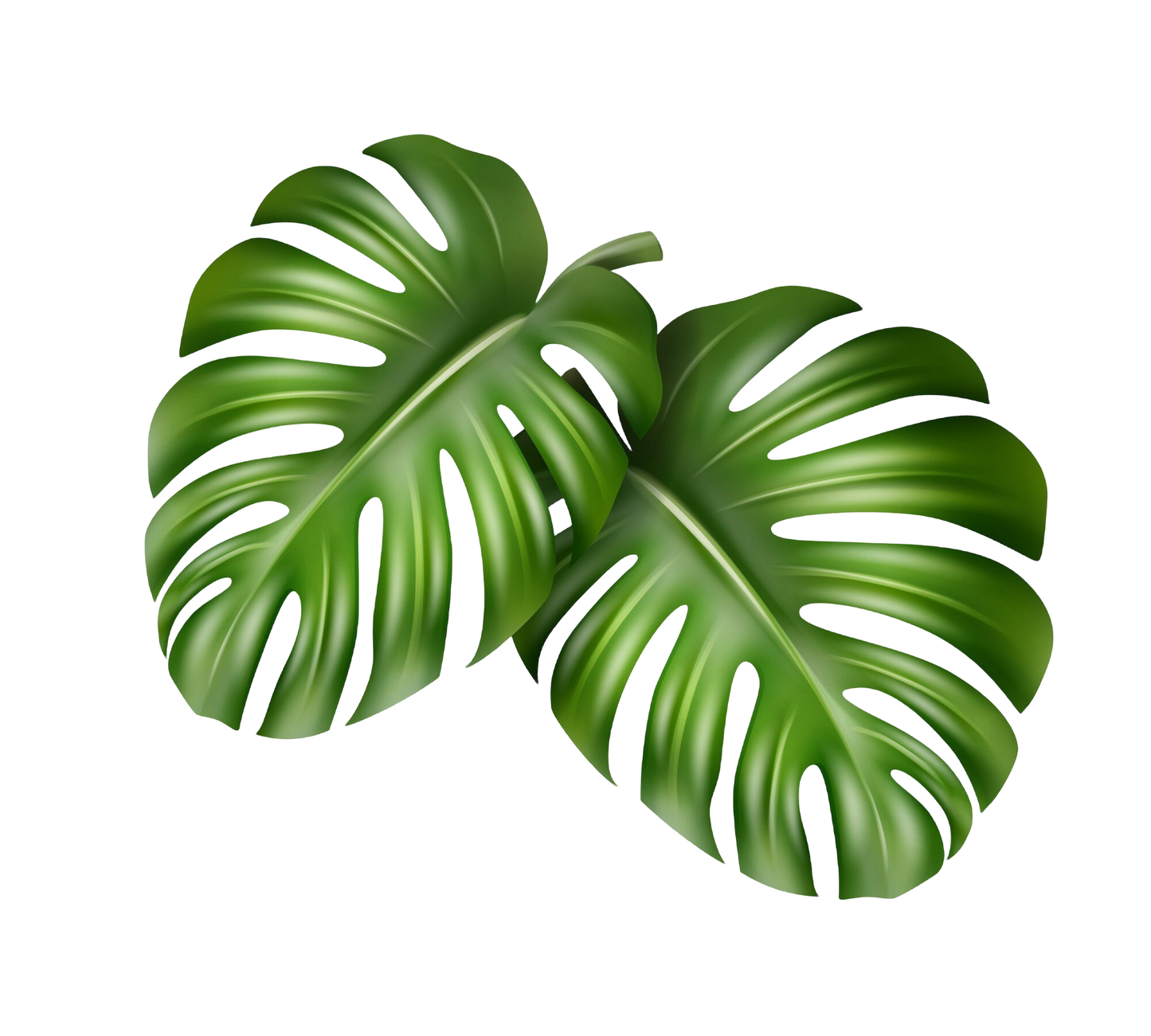 Plant related- multiple images, click to see more