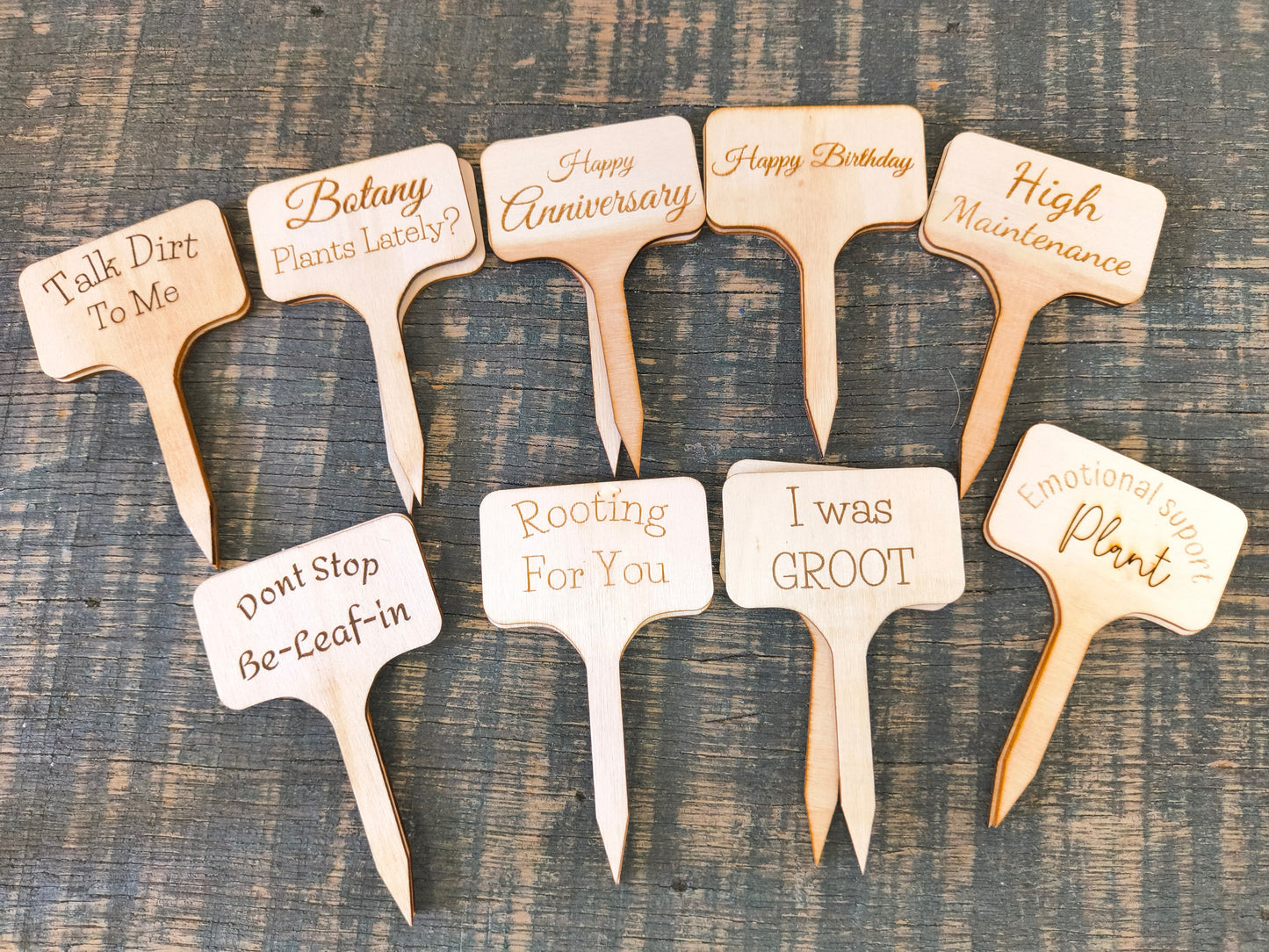 Plant Stakes small size