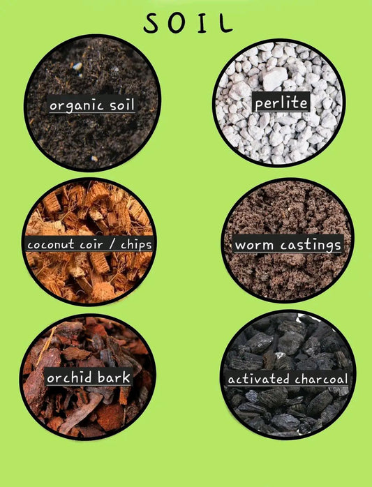Our go to soil mix and why we choose it!
