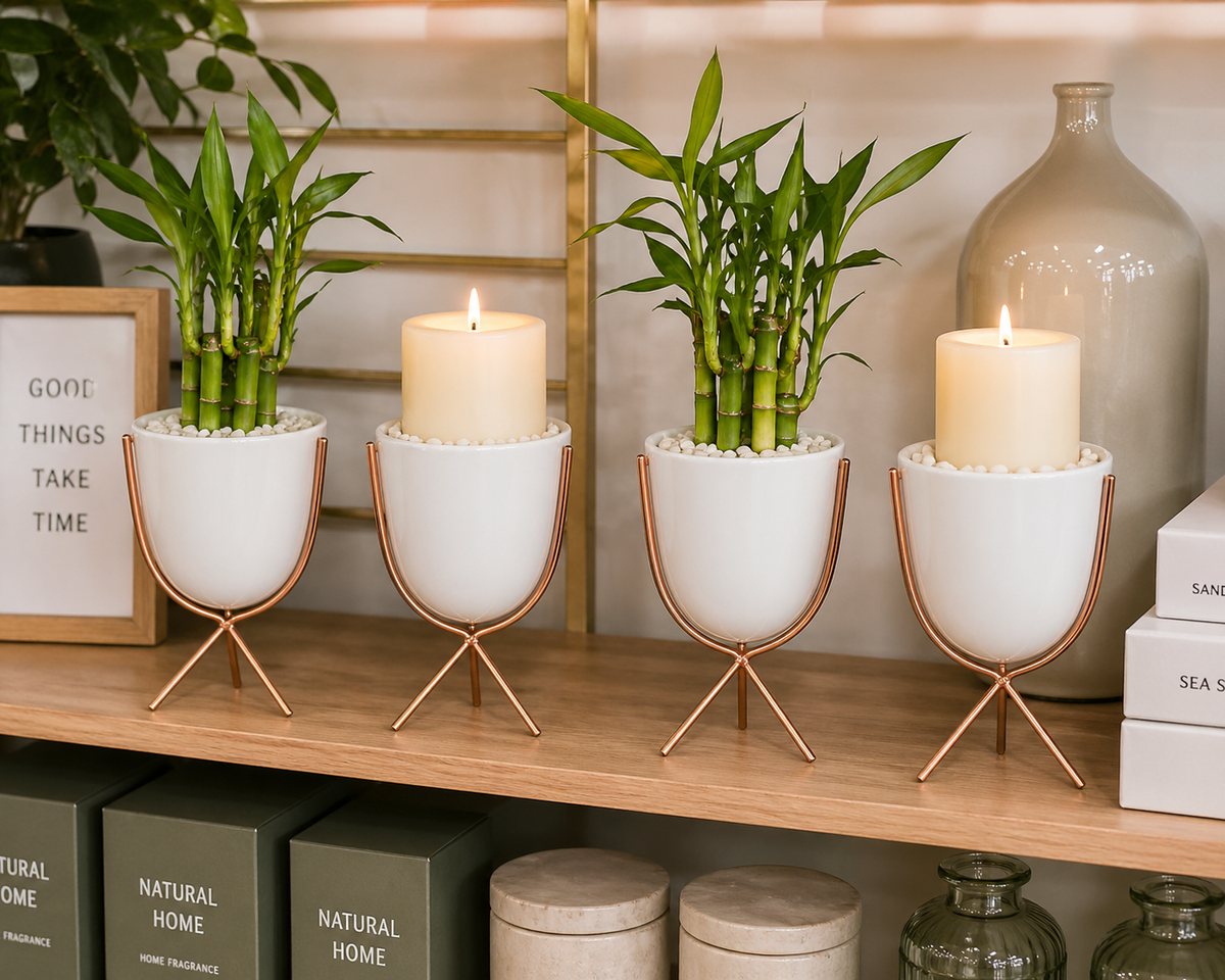Modern Tripod Stand Planter