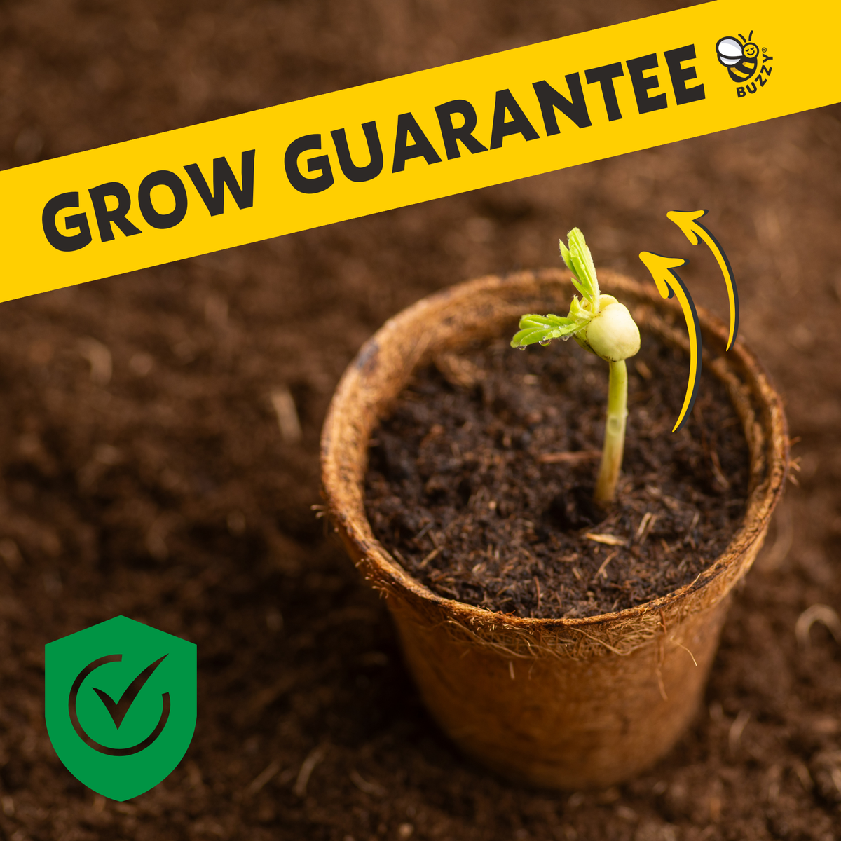 Inspirational Wild Strawberry Grow Kit