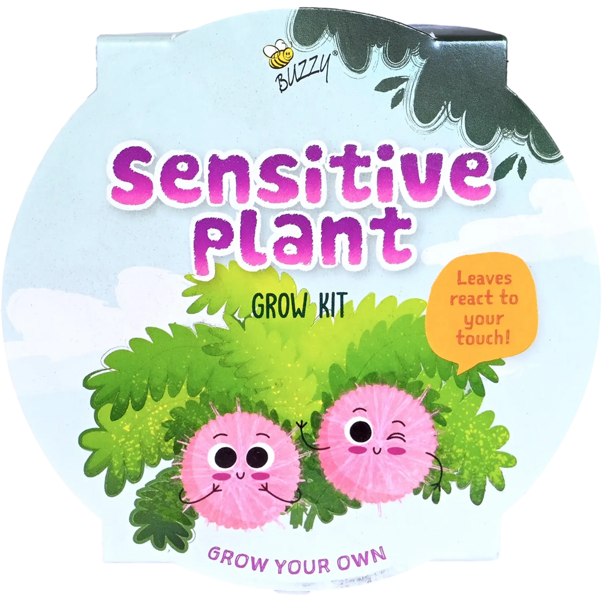 Kids Mini Basin Sensitive Plant Grow Kit | Indoor Kit | Gift