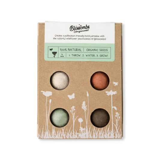 Mini Wildflower Seed Box | Seed Bombs | Pollinator Mix