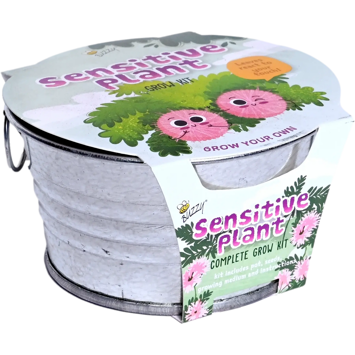 Kids Mini Basin Sensitive Plant Grow Kit | Indoor Kit | Gift