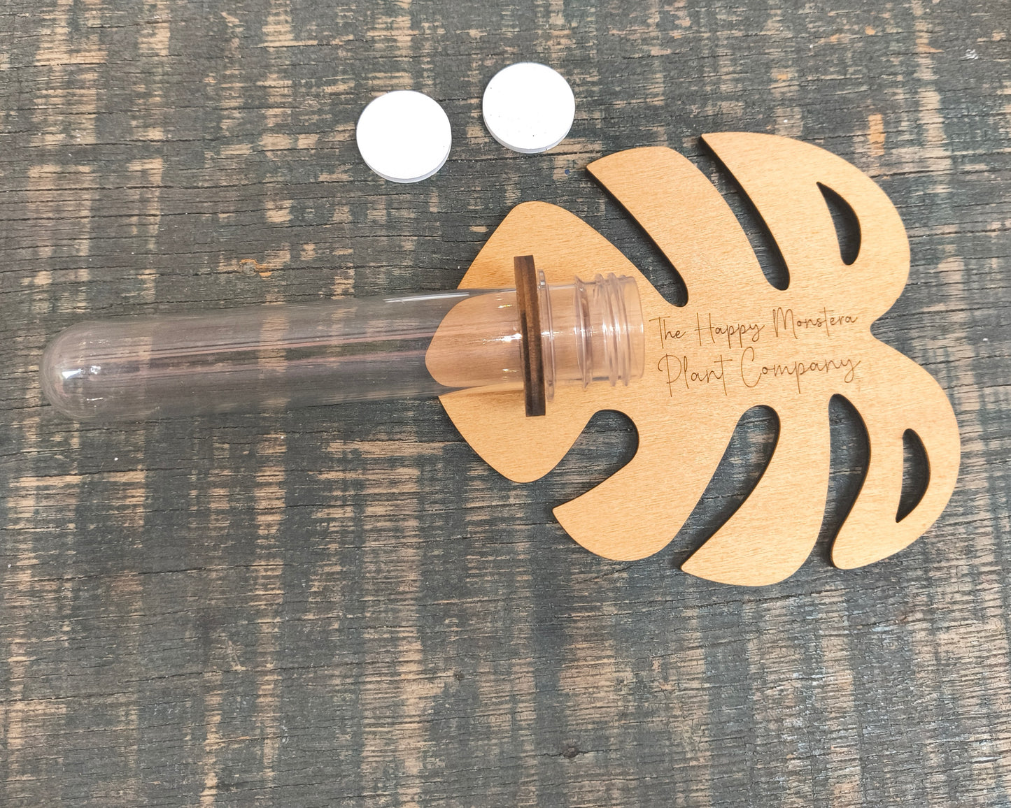 small propagation station