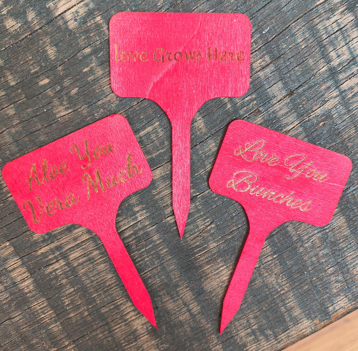 Plant Stakes small size