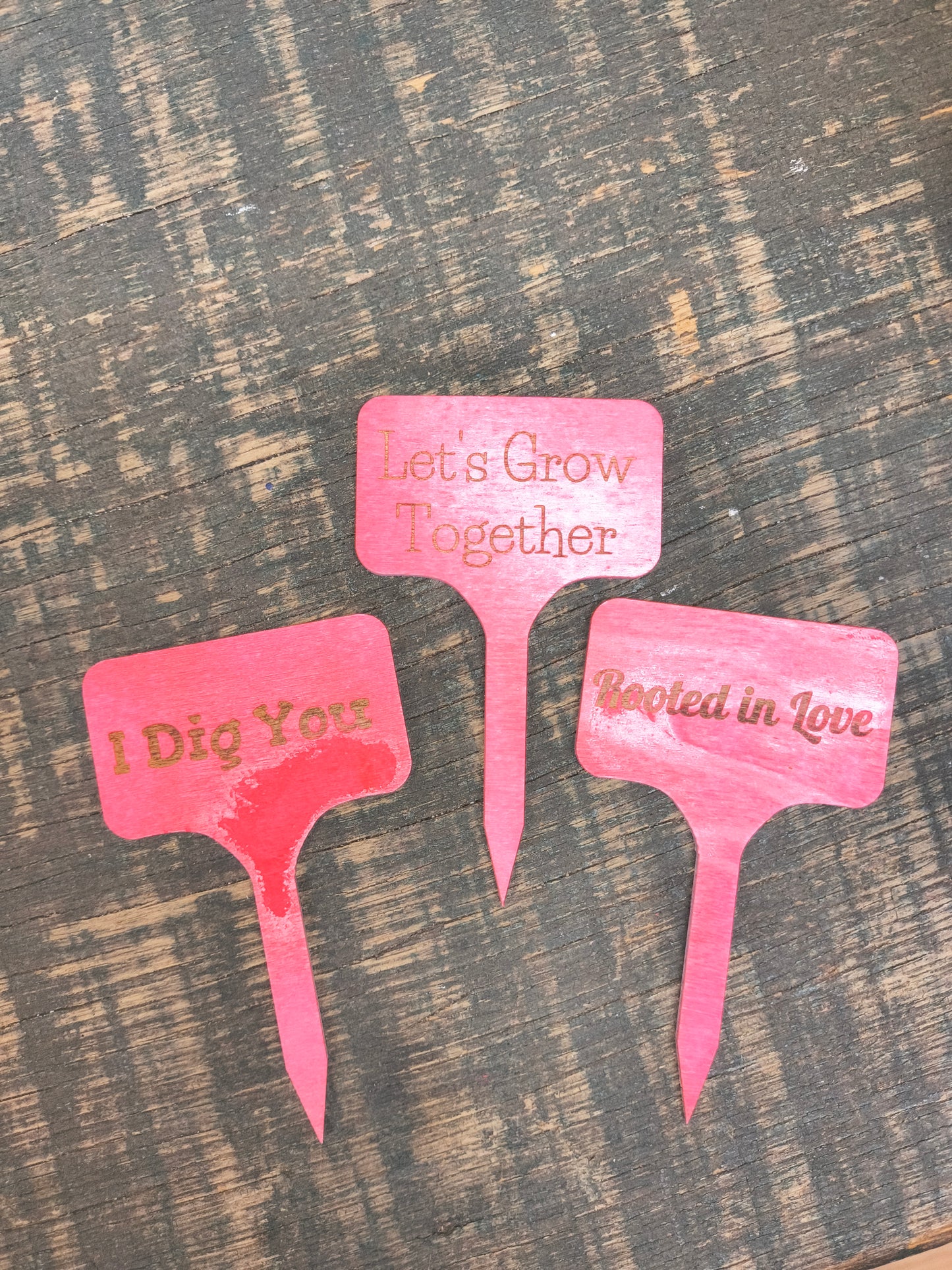 Plant Stakes small size