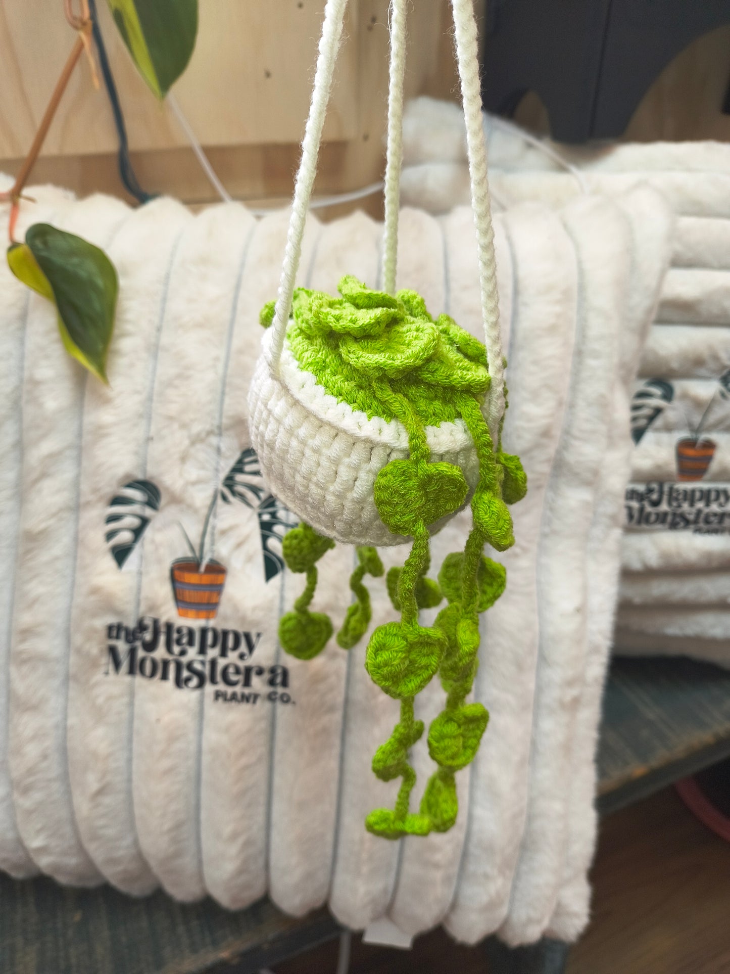 Crochet Hanging Plants