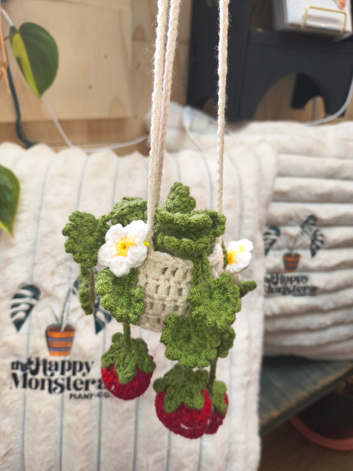 Crochet Hanging Plants