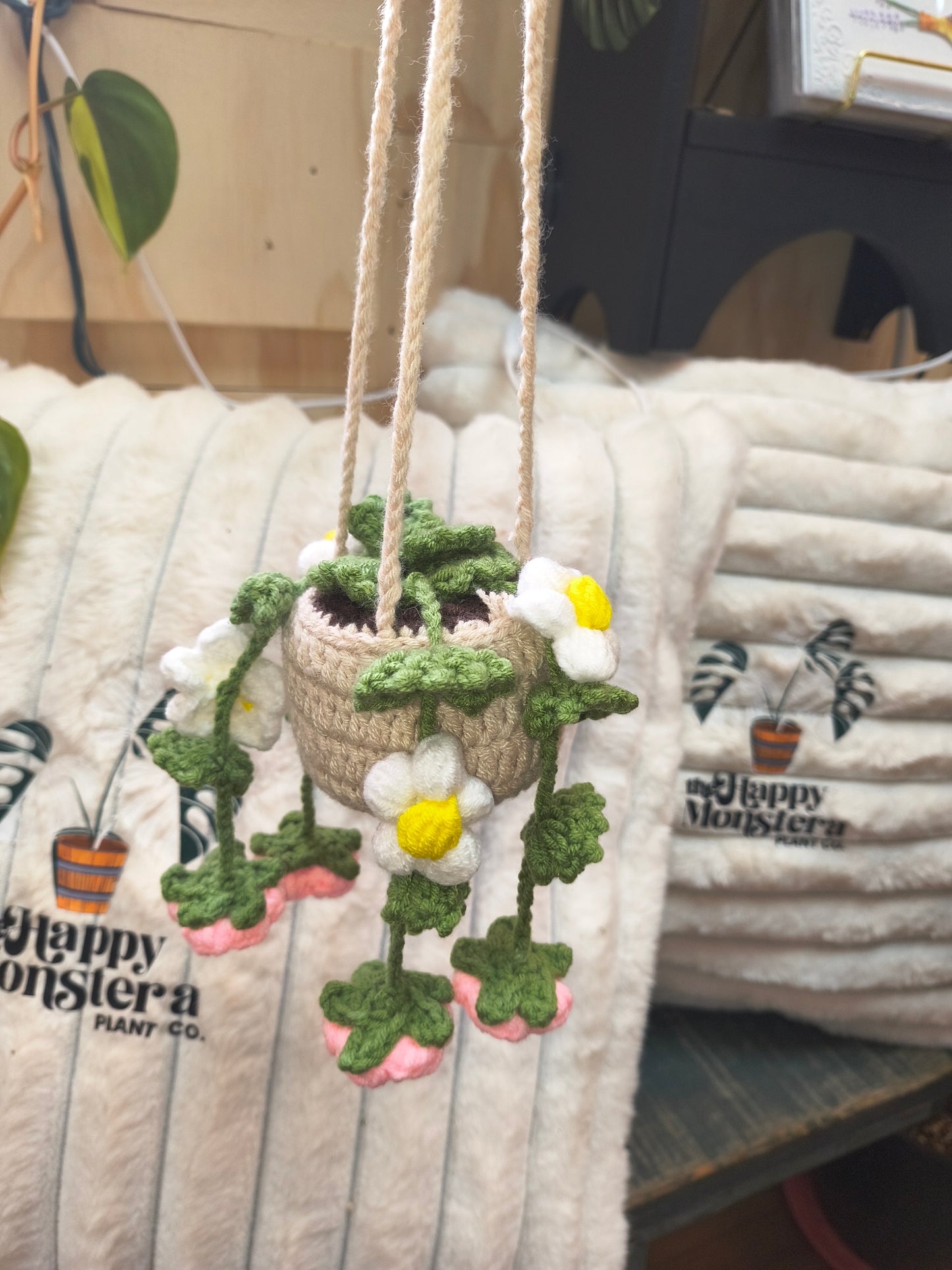 Crochet Hanging Plants