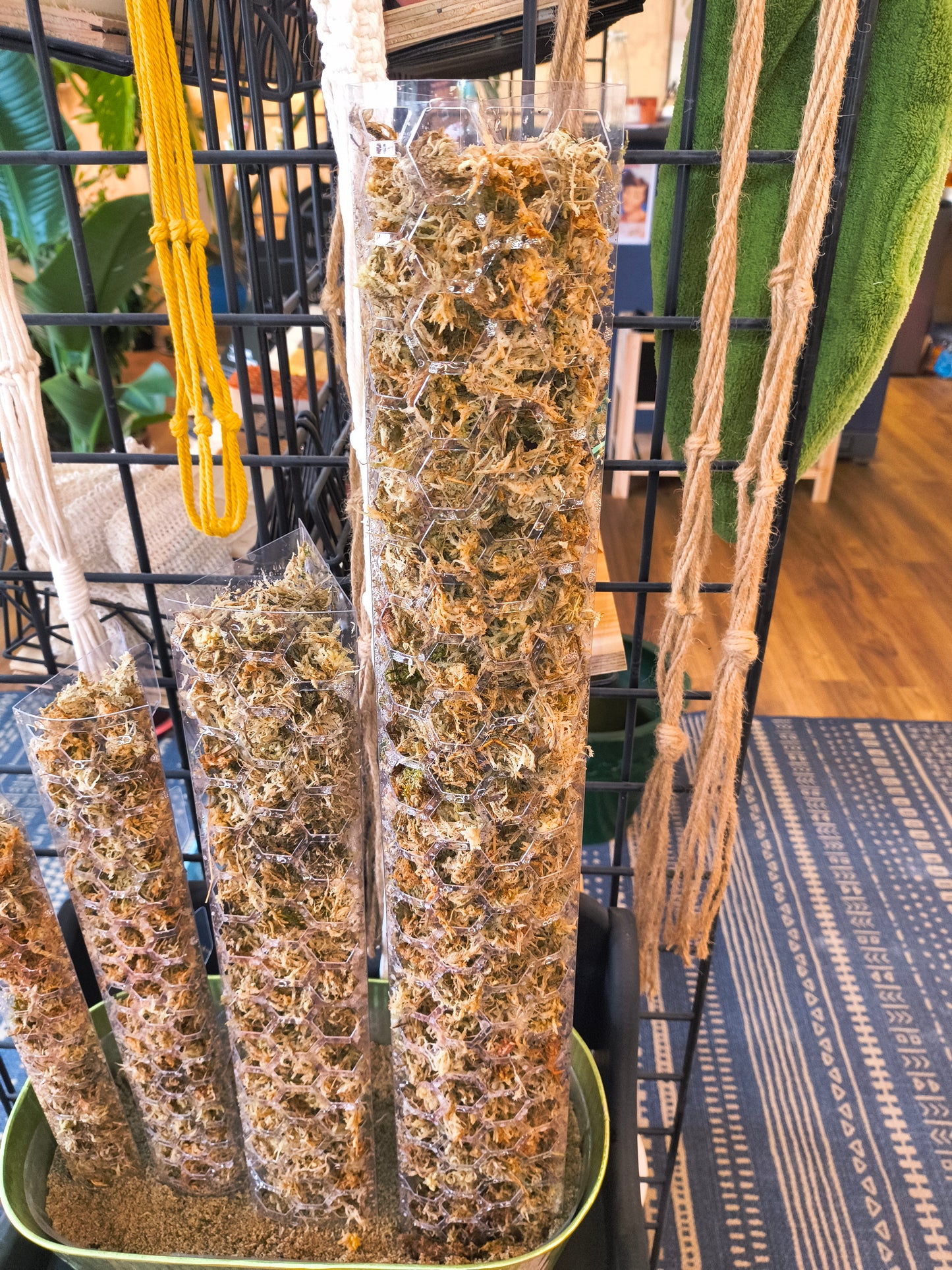 Moss Pole