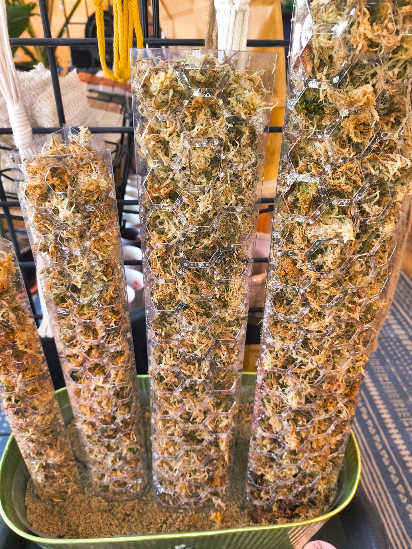 Moss Pole