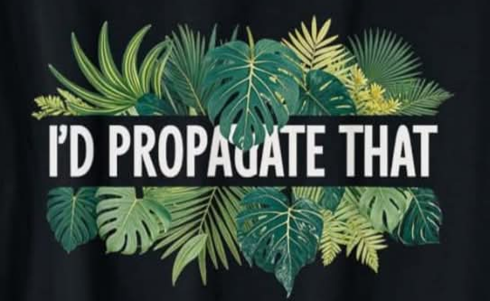 I'd propagate that