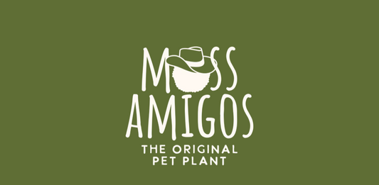 Moss Amigos- Chico