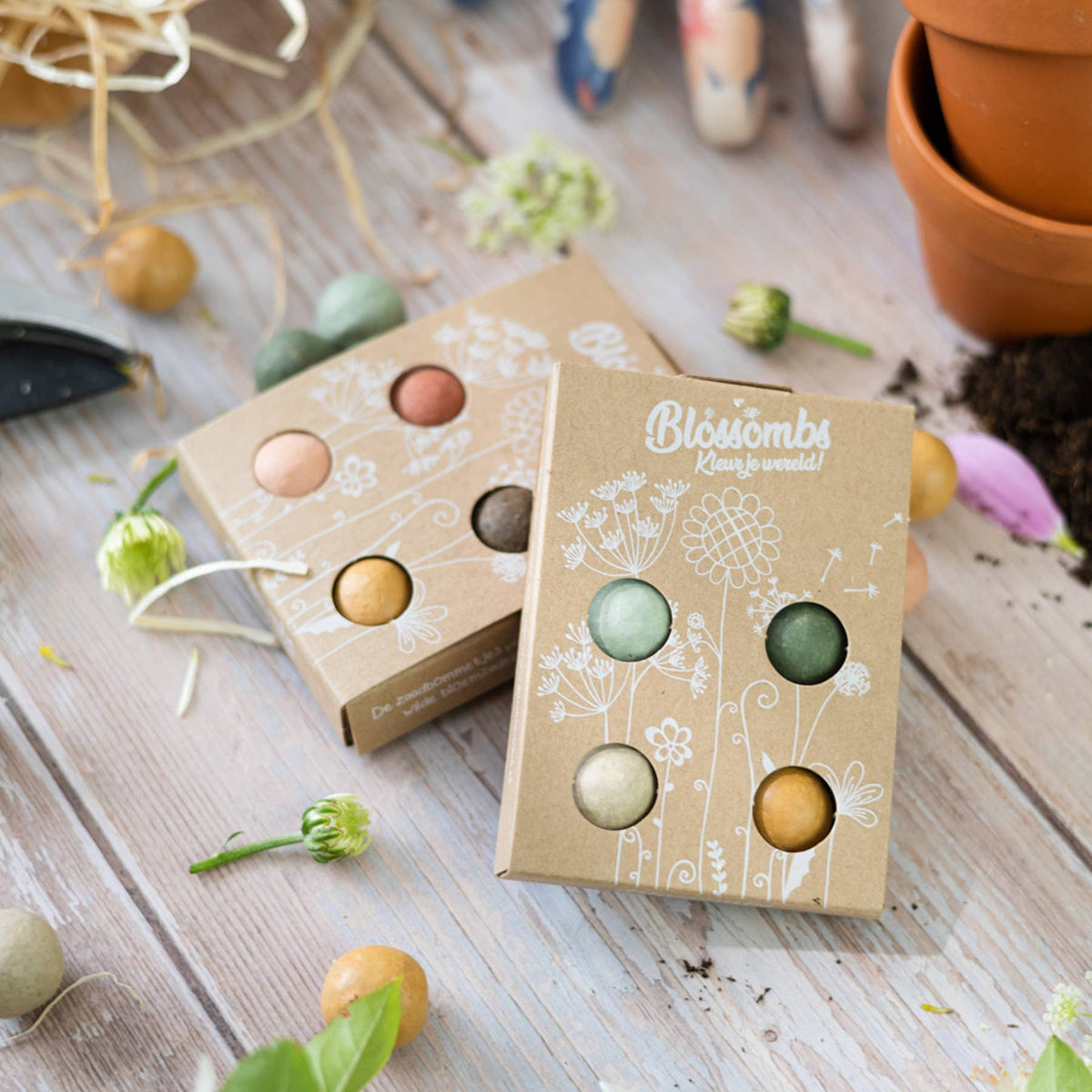 Mini Wildflower Seed Box | Seed Bombs | Pollinator Mix
