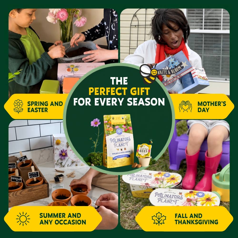 Bonsai Tree Starter Kit