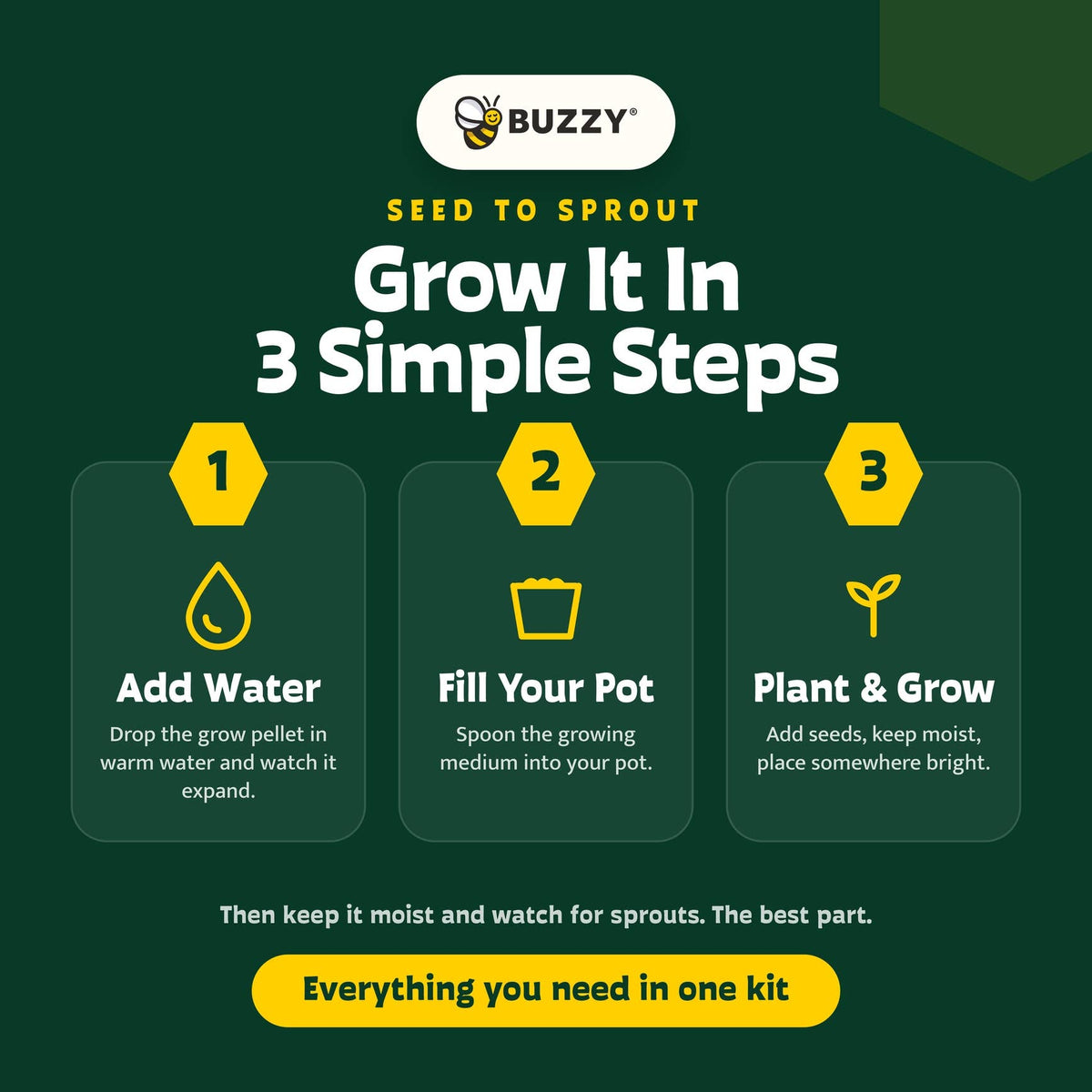 Holiday Spruce Tree Grow Kit | Christmas Tree | Indoor Gift