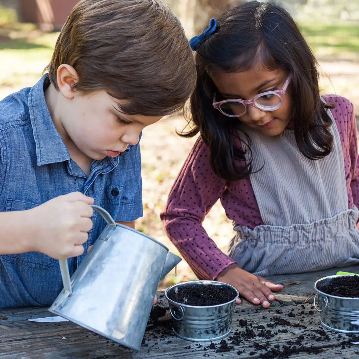 Kids Mini Basin Sensitive Plant Grow Kit | Indoor Kit | Gift