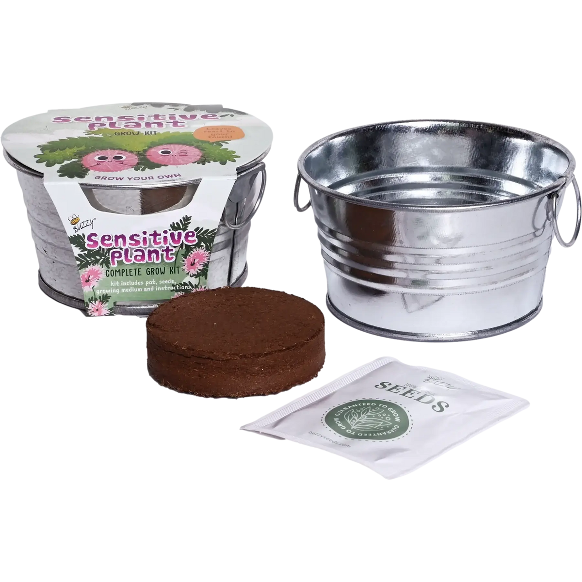 Kids Mini Basin Sensitive Plant Grow Kit | Indoor Kit | Gift