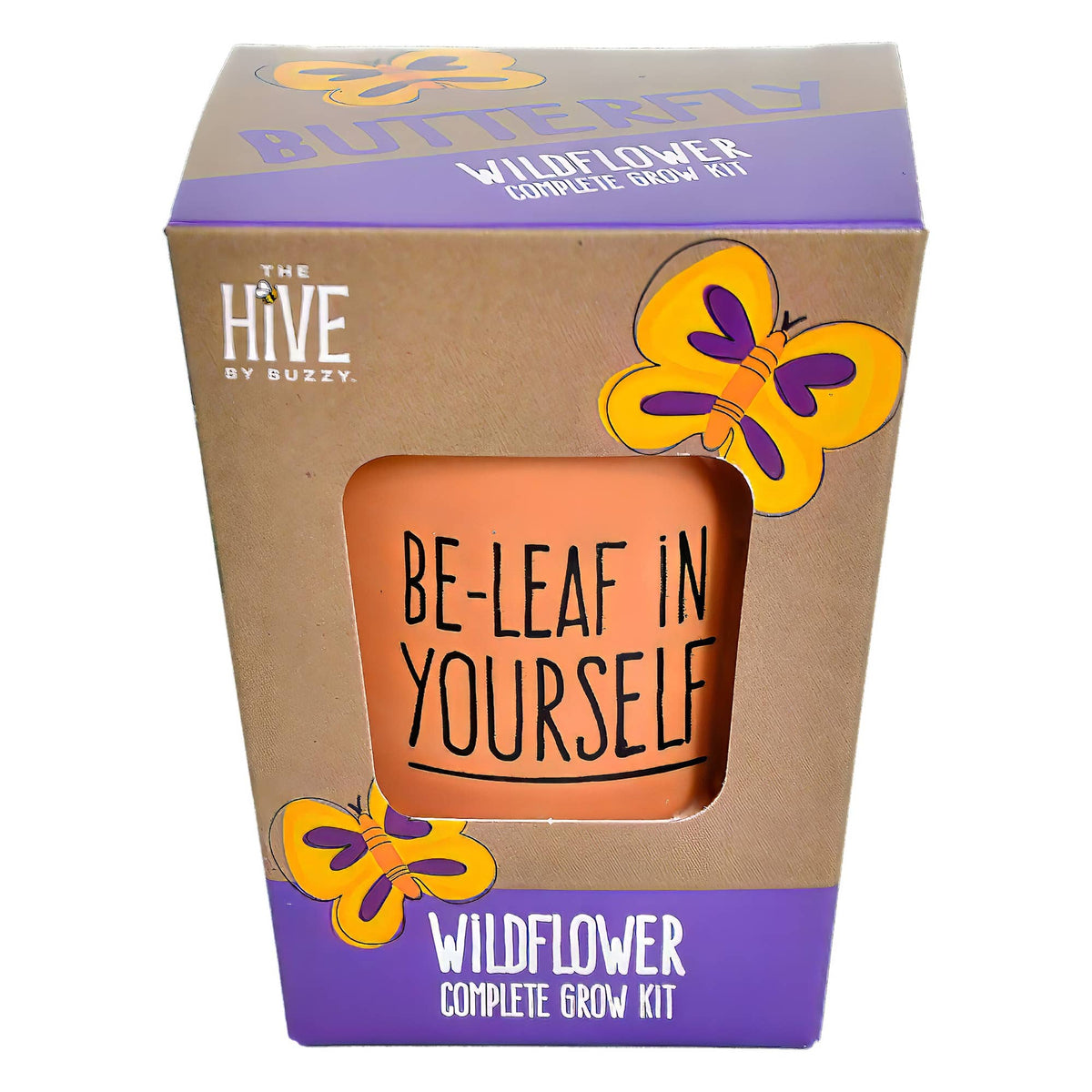 Inspirational Wildflower growing kit
