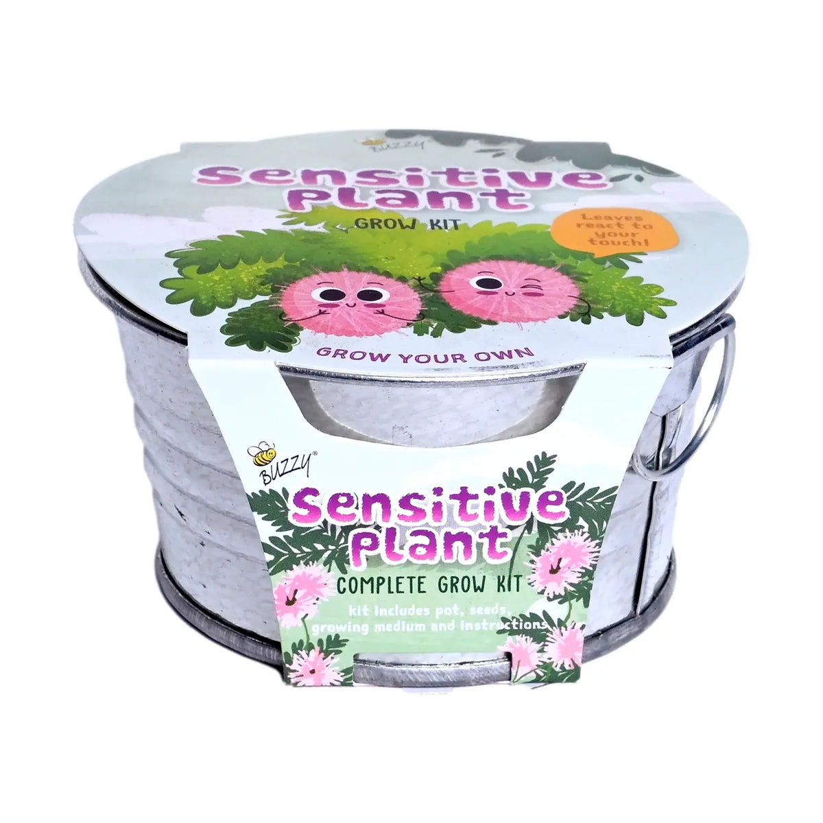 Kids Mini Basin Sensitive Plant Grow Kit | Indoor Kit | Gift