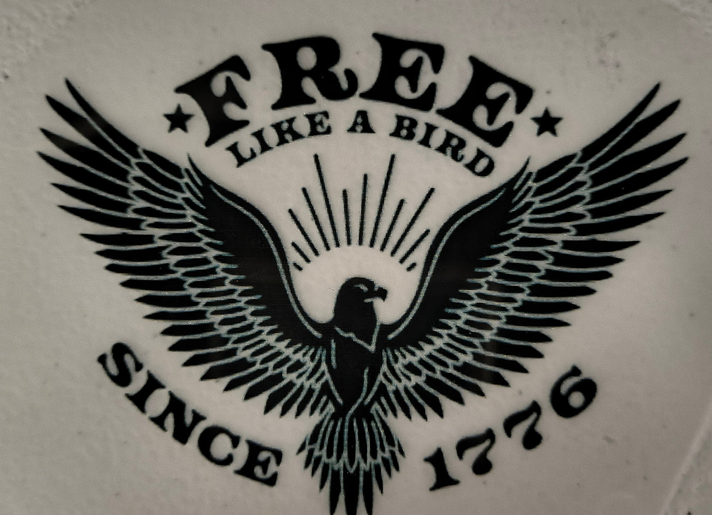 1776